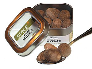 Whole Nutmeg Tin for Baking and Cooking Enthusiasts with Large Grind Hole and Versatile Uses